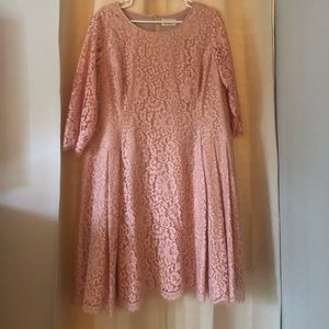 Lace Oink Elegant Dress